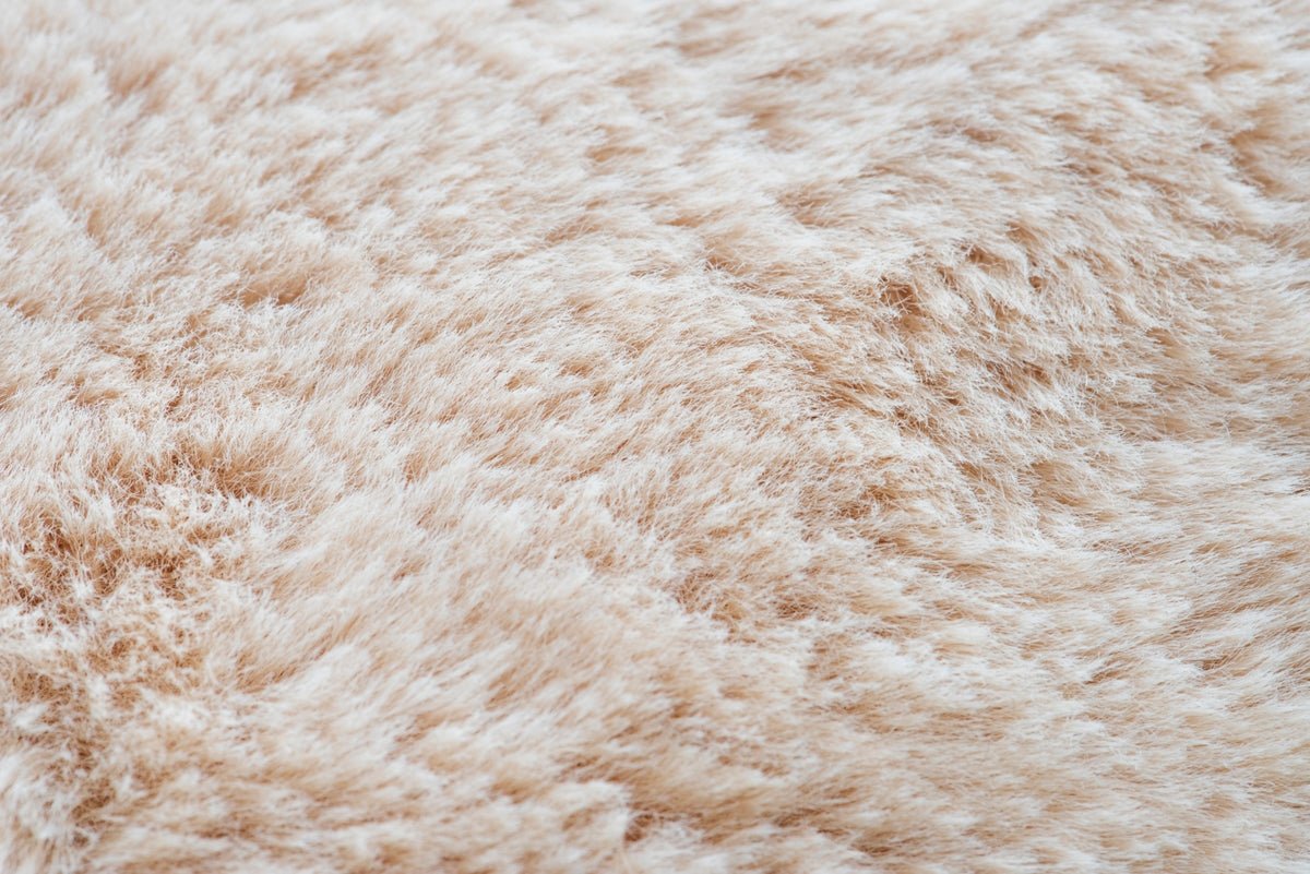 Jen's Picks | Mode Korvidae