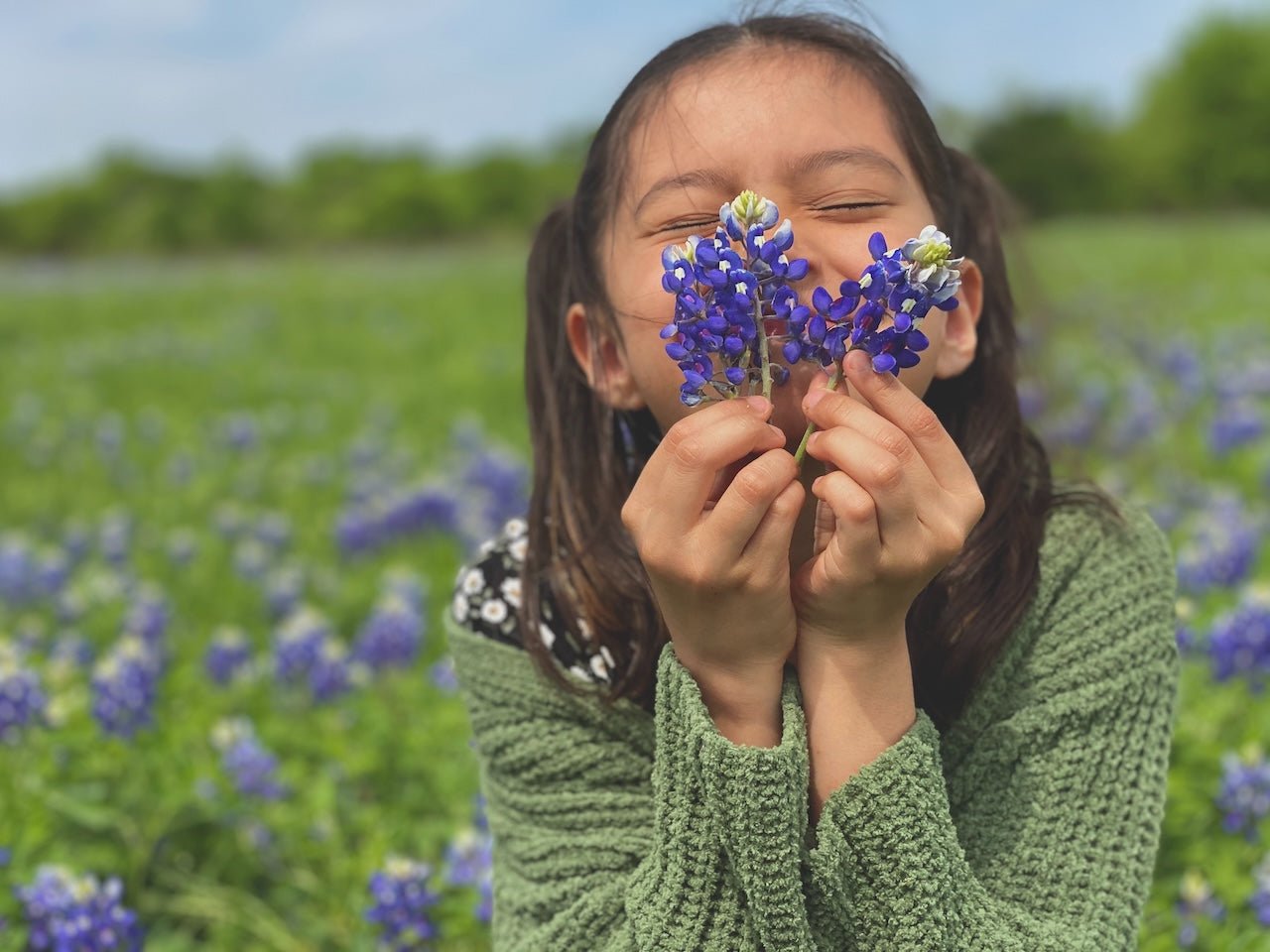 Olfactory System and Mood: The Connection Between Scents - Mode Korvidae