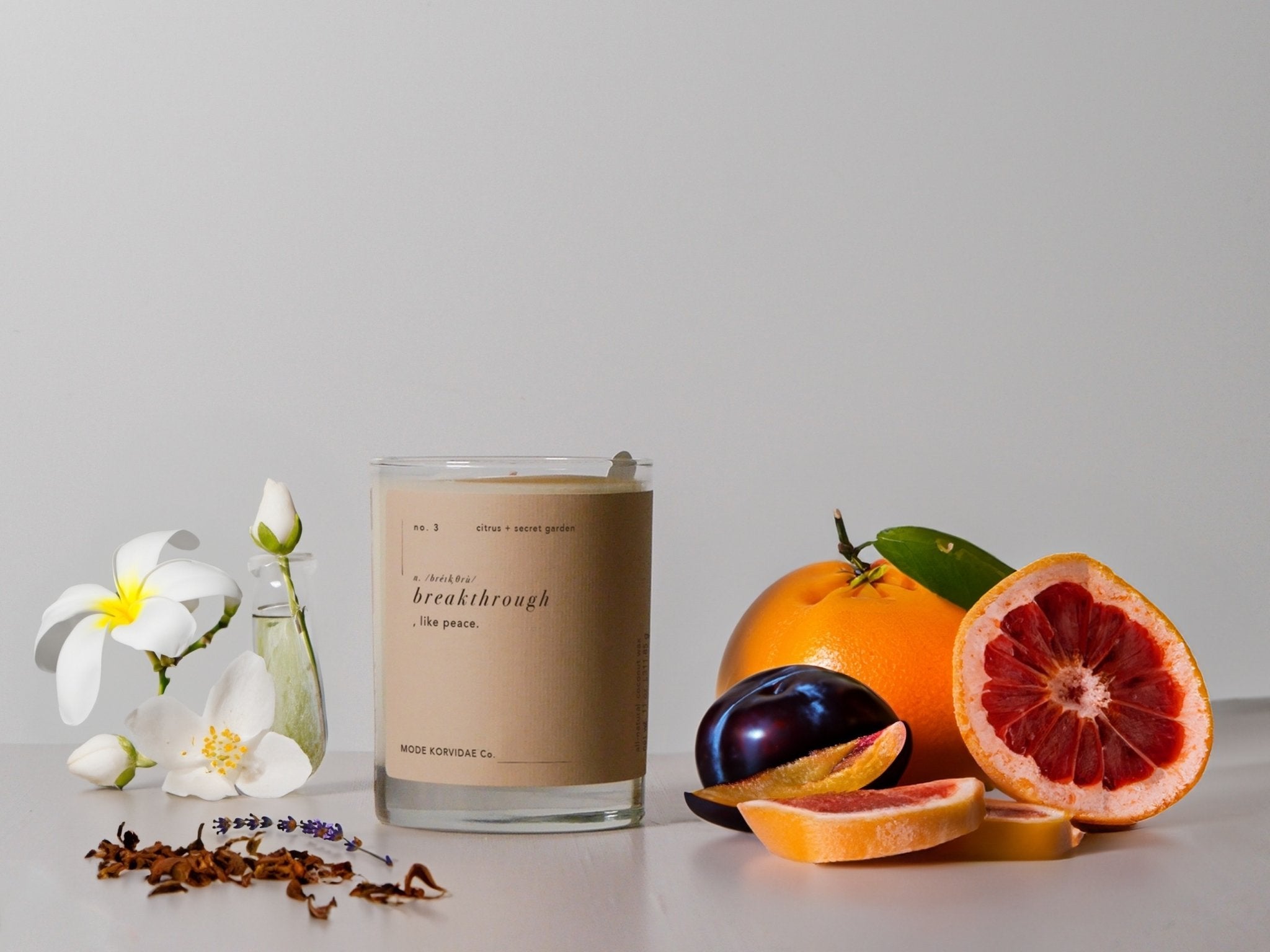 no. 3 breakthrough candle - Mode Korvidae